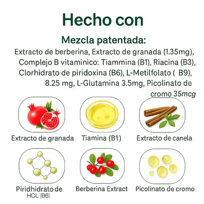 Parches GLP-1 + Guía PDF pérdida de peso 21 días