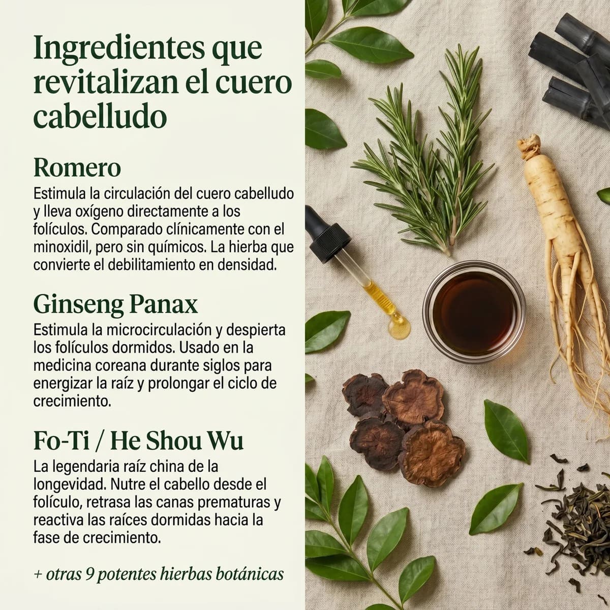 Barra revitalizante coreana para el cuero cabelludo